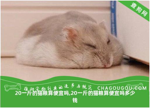 20一斤的猫粮算便宜吗,20一斤的猫粮算便宜吗多少钱