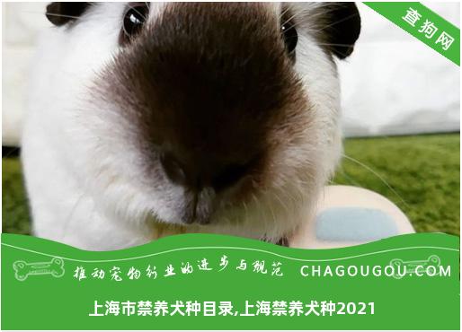 上海市禁养犬种目录,上海禁养犬种2021