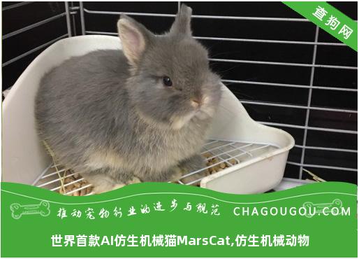 世界首款AI仿生机械猫MarsCat,仿生机械动物