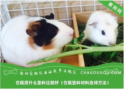 仓鼠用什么垫料比较好（仓鼠垫料材料选择方法）