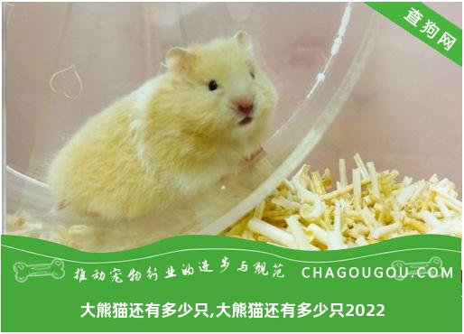 大熊猫还有多少只,大熊猫还有多少只2022