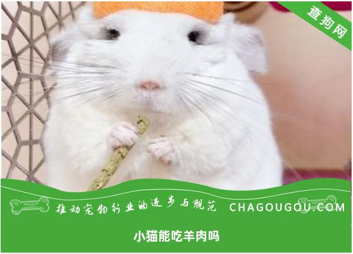 小猫能吃羊肉吗