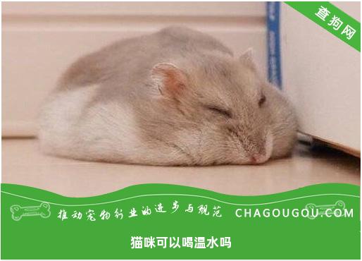 猫咪可以喝温水吗