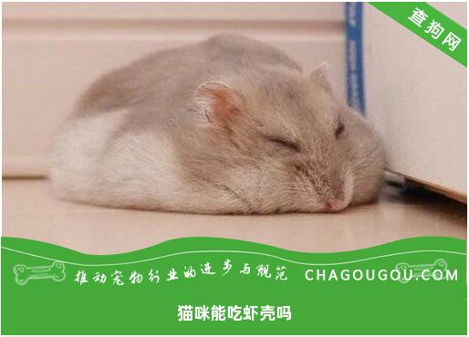 猫咪能吃虾壳吗