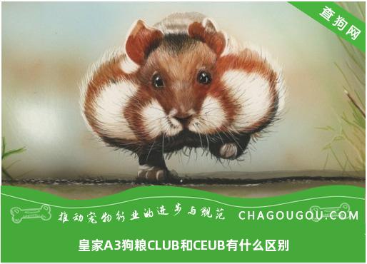 皇家A3狗粮CLUB和CEUB有什么区别