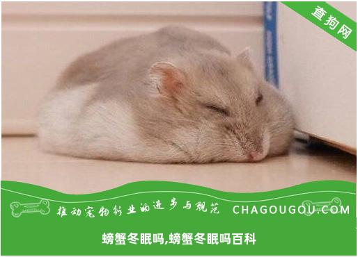 螃蟹冬眠吗,螃蟹冬眠吗百科