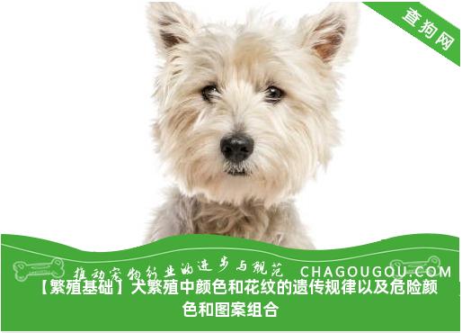 【繁殖基础】犬繁殖中颜色和花纹的遗传规律以及危险颜色和图案组合