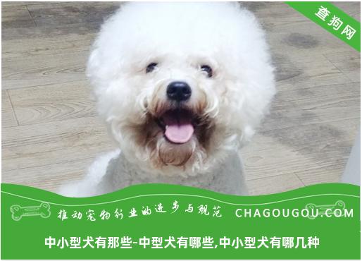 中小型犬有那些-中型犬有哪些,中小型犬有哪几种