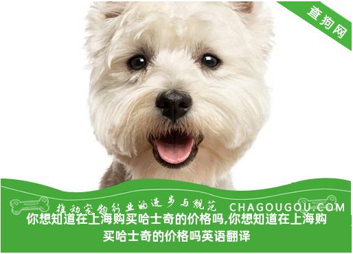 你想知道在上海购买哈士奇的价格吗,你想知道在上海购买哈士奇的价格吗英语翻译