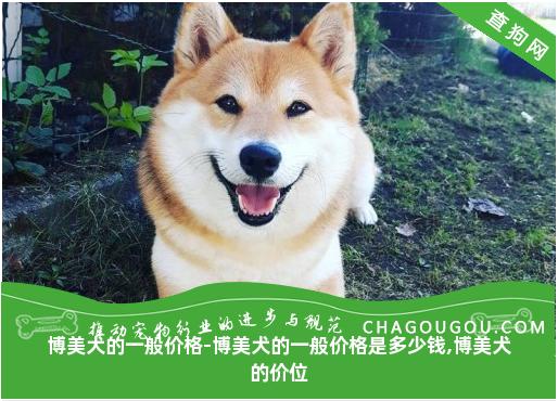 博美犬的一般价格-博美犬的一般价格是多少钱,博美犬的价位