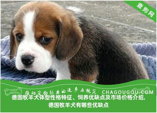 德国牧羊犬体型性格特征、饲养优缺点及市场价格介绍,德国牧羊犬有哪些优缺点