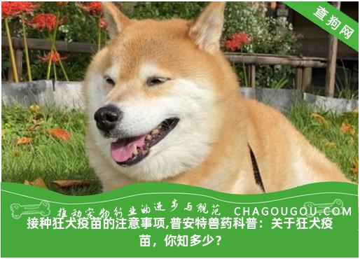 接种狂犬疫苗的注意事项,普安特兽药科普：关于狂犬疫苗，你知多少？