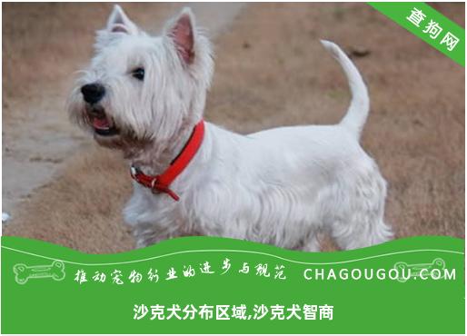 沙克犬分布区域,沙克犬智商