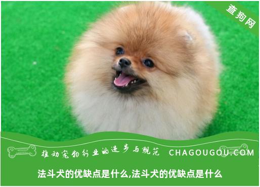 法斗犬的优缺点是什么,法斗犬的优缺点是什么