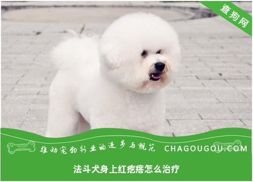 法斗犬身上红疙瘩怎么治疗