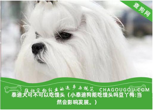 泰迪犬可不可以吃馒头（小泰迪狗能吃馒头吗豆丫梅:当然会影响发展。）