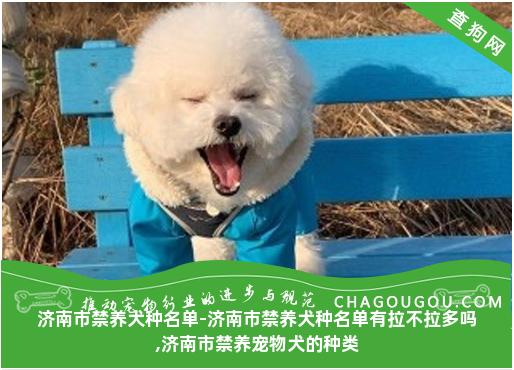 济南市禁养犬种名单-济南市禁养犬种名单有拉不拉多吗,济南市禁养宠物犬的种类