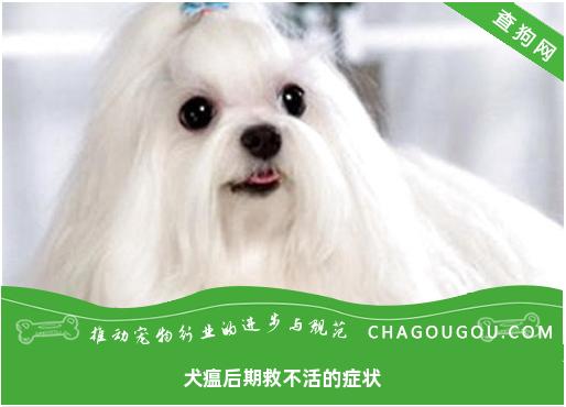 犬瘟后期救不活的症状