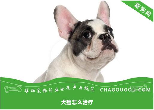 犬瘟怎么治疗