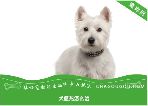 犬瘟热怎么治