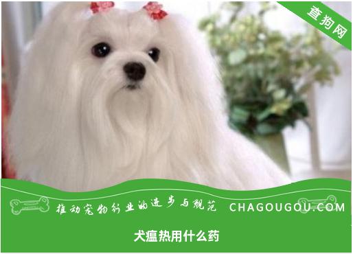 犬瘟热用什么药