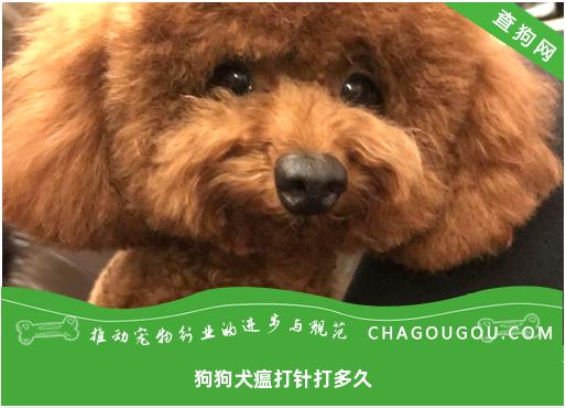 狗狗犬瘟打针打多久