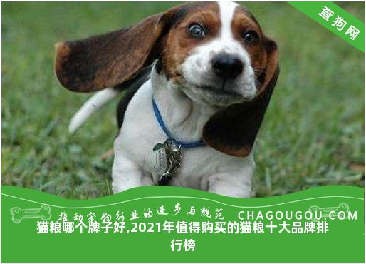 猫粮哪个牌子好,2021年值得购买的猫粮十大品牌排行榜