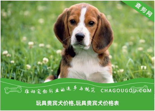 玩具贵宾犬价格,玩具贵宾犬价格表