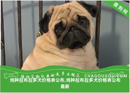 纯种拉布拉多犬价格表公布,纯种拉布拉多犬价格表公布最新