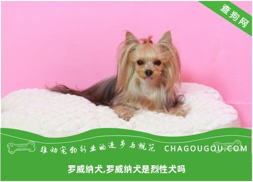 罗威纳犬,罗威纳犬是烈性犬吗