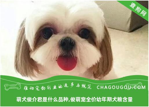 萌犬俊介君是什么品种,俊萌宠全价幼年期犬粮含量