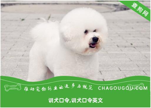 训犬口令,训犬口令英文