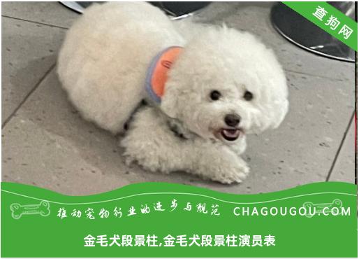 金毛犬段景柱,金毛犬段景柱演员表