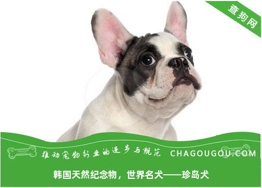 韩国天然纪念物，世界名犬——珍岛犬